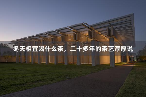 冬天相宜喝什么茶，二十多年的茶艺淳厚说