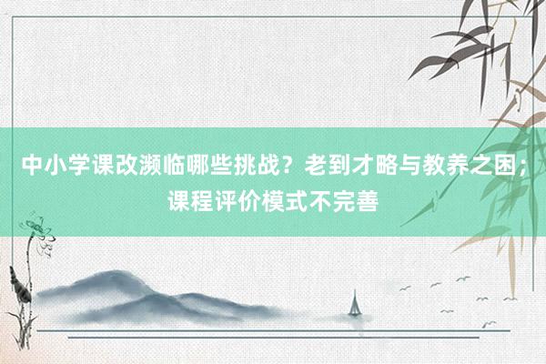 中小学课改濒临哪些挑战？老到才略与教养之困；课程评价模式不完善