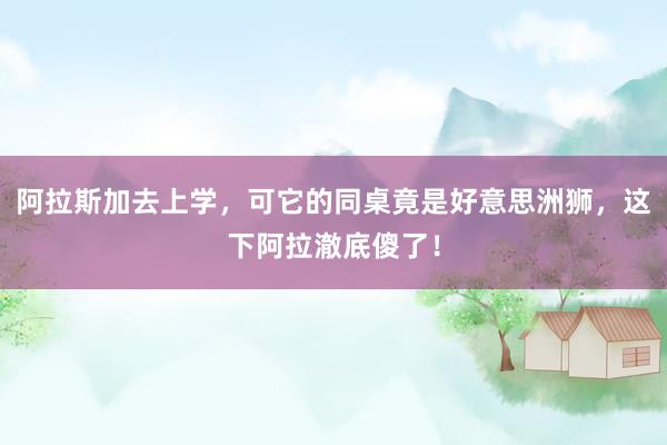 阿拉斯加去上学，可它的同桌竟是好意思洲狮，这下阿拉澈底傻了！