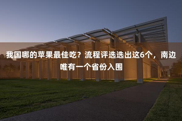 我国哪的苹果最佳吃？流程评选选出这6个，南边唯有一个省份入围