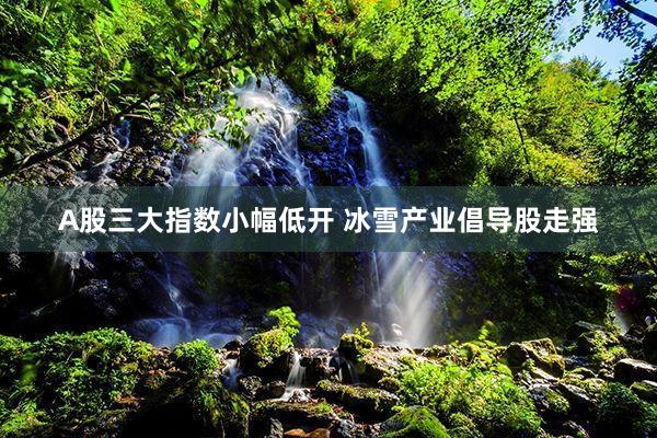 A股三大指数小幅低开 冰雪产业倡导股走强