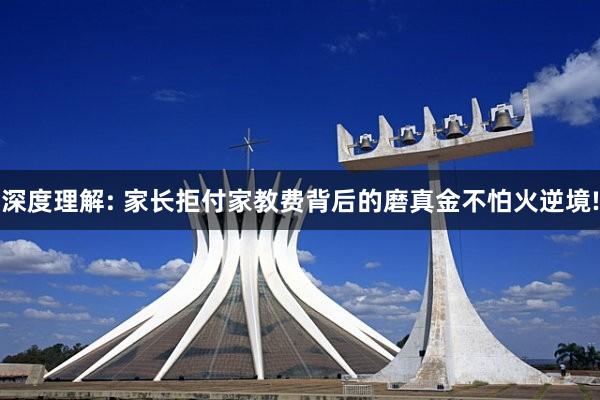 深度理解: 家长拒付家教费背后的磨真金不怕火逆境!