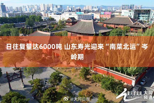 日往复量达6000吨 山东寿光迎来“南菜北运”岑岭期